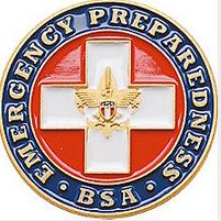 Emergency Preparedness Award Pin (540)