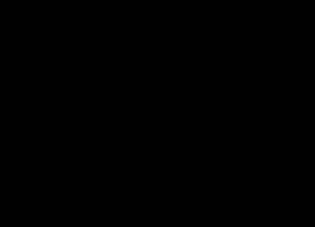 Connecticut flag