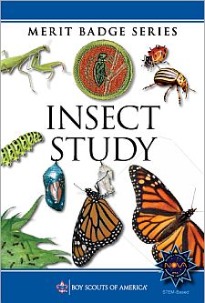 Insect Study