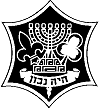 israel.gif - 4603 Bytes