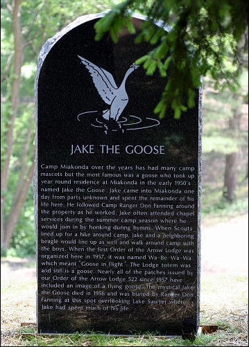 Jake the Goose Tombstone with Story of the Camp's Mascot