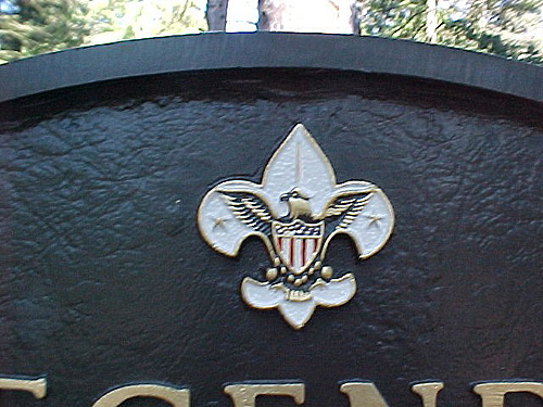 Close-up of Scout Logo