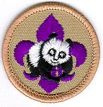 Boy Scout World Conservation Award Patch