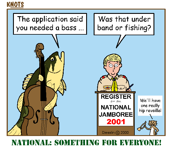 National: Something for Everyone