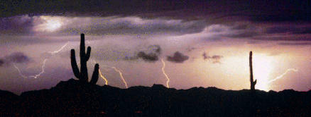 Lightning in the Desert Sky (Photo)