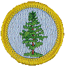 Forestry Merit Badge